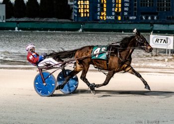 Ohio invader trounces Buffalo’s best