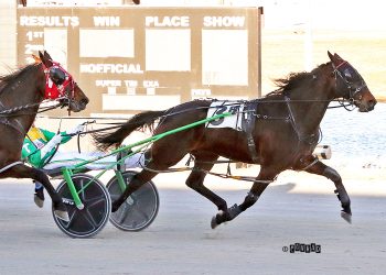 Veteran pacer scores in $30,000 Dailey Memorial