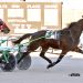 Veteran pacer scores in $30,000 Dailey Memorial 2 Veteran pacer scores in $30,000 Dailey Memorial