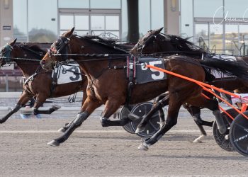 Late rally gets the “Gold” at The Meadows