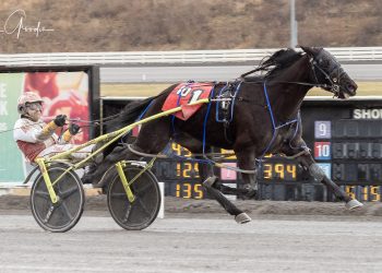 Good Investment victory highlights Zendt Memorial