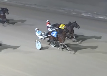 Randomirogeo best at London