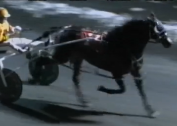 In High Cotton fires to career-best Open victory