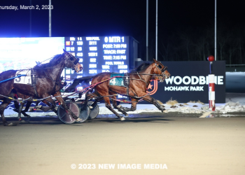 Filly steps up big for pari-mutuel shocker