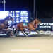 Filly steps up big for pari-mutuel shocker