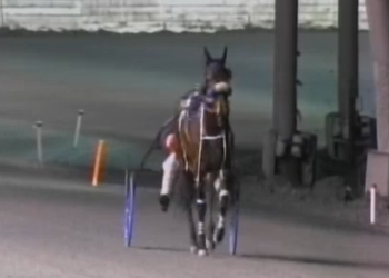 Mare takes new mark in form turnaround