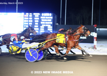 Saulsbrook Victor circles to $42,000 Free For All victory