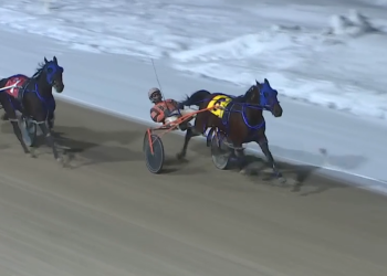 Sea Laird repeats in London Preferred