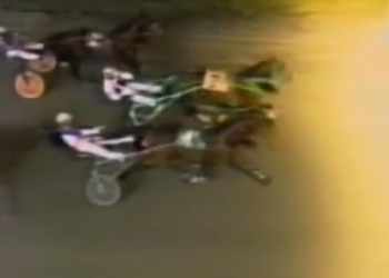 Stash The Cookies thrown out of debut win