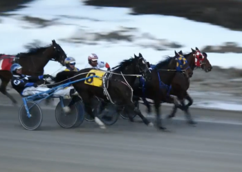 $10 million for MacMillan