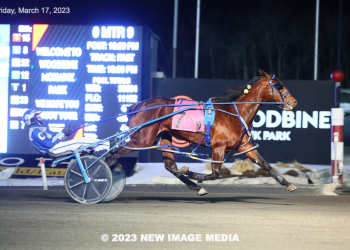 Need To Breathe back on top at Mohawk