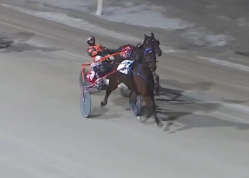 Scene A Magician bounces back in London Preferred