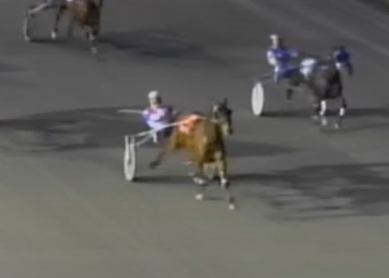 Mach Steady rewards faithful owners