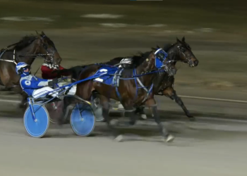 P L Jackson fires to Flamboro feature win