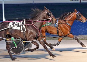 Marloe Hanover gets one over on stablemate