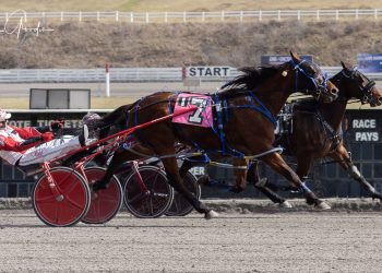 Photo finish camera needed at The Meadows