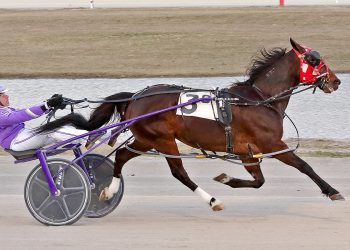 Defending Jim Dailey Memorial winner looks to repeat