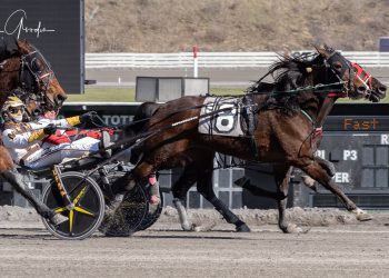 Third straight and career best at 22-1