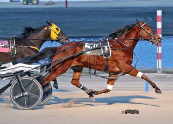 Another week, another top dog at Miami Valley