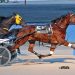 The Mighty Hill likes the $30,000 Open Trot 2 Another week, another top dog at Miami Valley