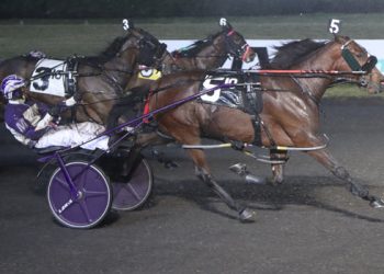 Big M handle hits $4.5 million