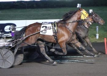 Whole Lotta Lou circles field to win Meadowlands nailbiter