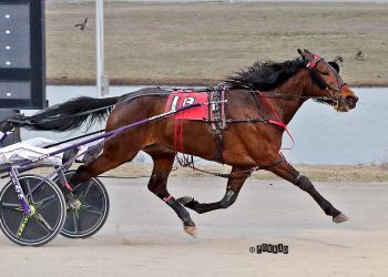 Mares show the way in Paver Memorial