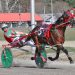 Four-bagger for Deslandes opening day at Cumberland