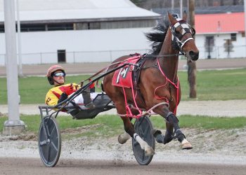 Spring Fling leg 2 belongs to The Bird Dance N