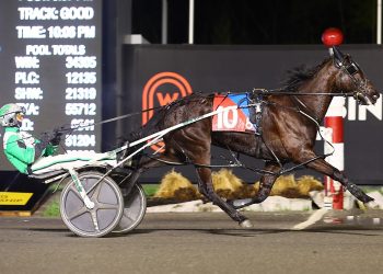 No Control sweeps in Ontario-sired Spring Series final highlight