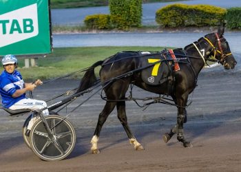 Queensland harness racing wrap