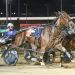 Tasmanian Harness Highlights - 20 April 3 Tasmanian Harness Highlights – 20 April