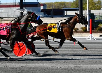 Longshot Proper One does it again at Harrington