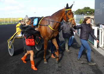 Four 120,000€ Gr. II tests held at Vincennes