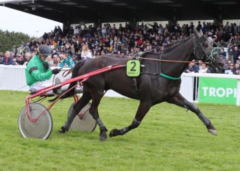 Hollywood du Bois Wins Trophee Vert Leg 2