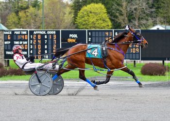 Maczaffair N powers away in feature pace