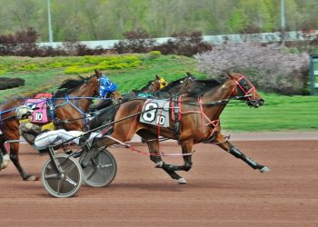 Last to first for Weiss Series Final winner