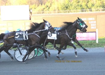 Patrikthepiranha A feasts again