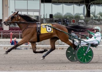 Sweet On Her fires to victory in Provost Memorial