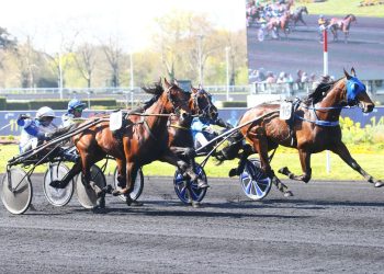 Game effort by favorite in 120,000€ Prix Kerjacques