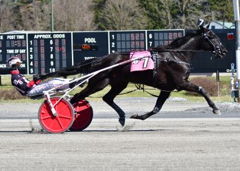 Angel Nation continues his winning ways