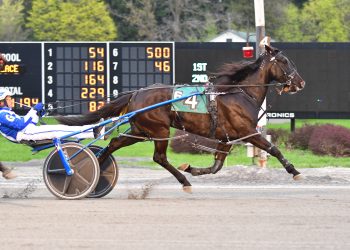 Uncle Jord A finally captures Saratoga Open