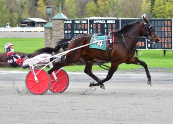 Boozer drinks up feature pace