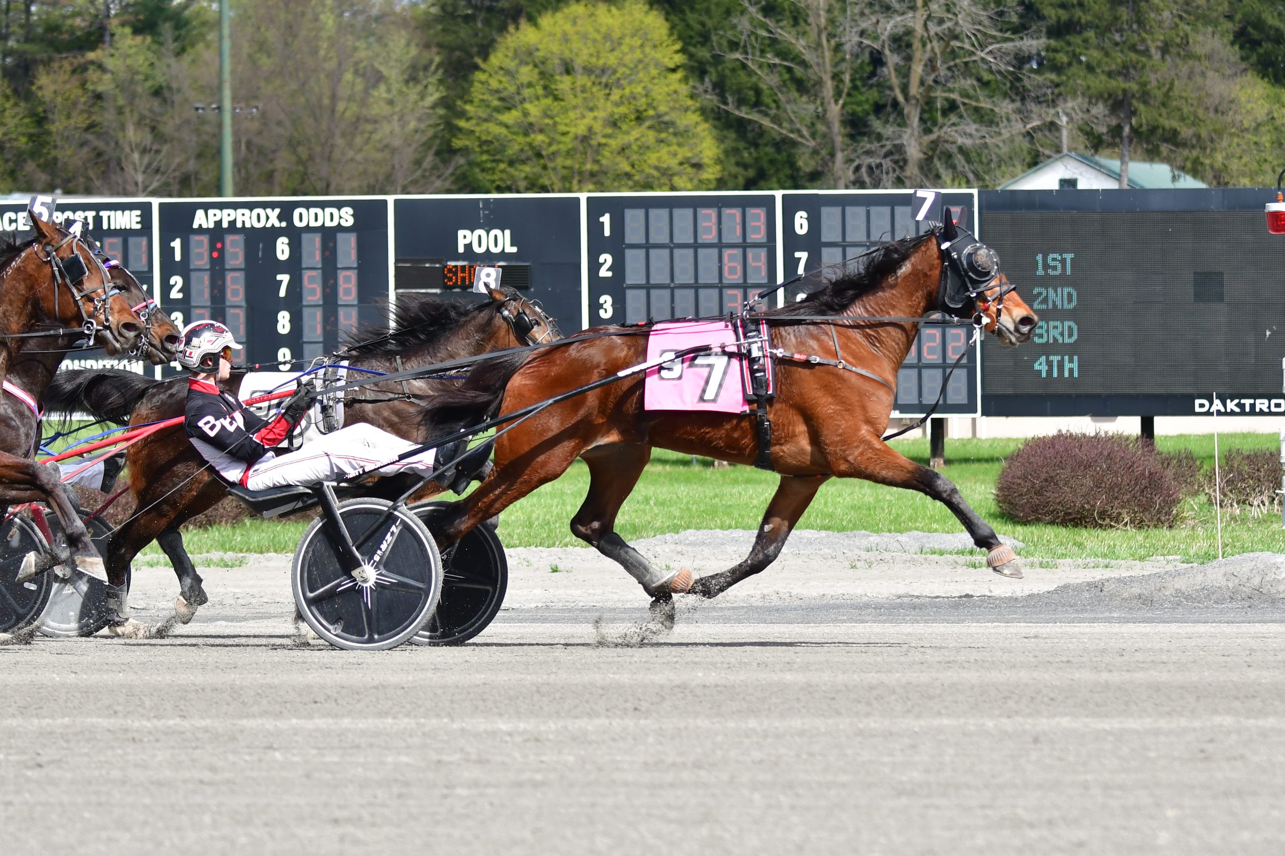 58 1 Longshot Takes Feature At The Spa Harnesslink