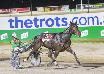 An old Kiwi marvel continues his white-hot form