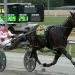 A Gs socks it to them in Warragul Cup