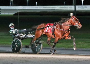 Amazing Dream N wires field in $328,200 Matchmaker