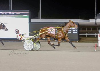 50th career win for top pacing mare