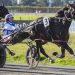 O’Sullivan on her first NZ harness racing win