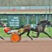 Trotters in the spotlight at Pocono
